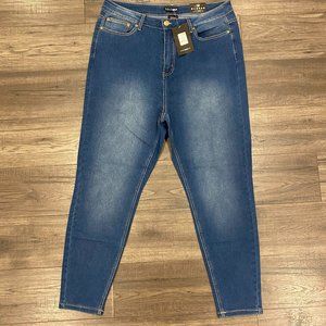 Fashion Nova Curve Skinny Jeans